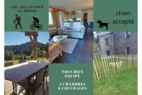 Appart. Type chalet * COSY * Superbe vue *